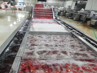 Strawberry production line